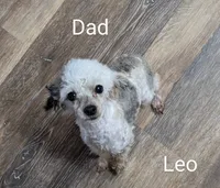 processed/d23b640b-2db6-4b36-9f85-56c2854d545c/listing/c78caf05-cc36-4f2a-85a5-dc75dfb7e3c2/bcc0c122-cf8f-446e-ac9d-0db5895203df