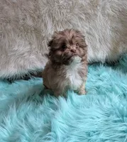 processed/d23b640b-2db6-4b36-9f85-56c2854d545c/listing/c78caf05-cc36-4f2a-85a5-dc75dfb7e3c2/ce60c897-6e81-4578-b124-35d39c69827e