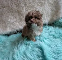 processed/d23b640b-2db6-4b36-9f85-56c2854d545c/listing/c78caf05-cc36-4f2a-85a5-dc75dfb7e3c2/fa259b98-bf8f-4d8d-a7c6-59c558825080