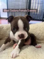 processed/d23c0998-38b7-4771-9cd4-990834a4cd09/listing/87cacf34-9906-4c2e-b5b6-bc59d9bc8321/407cc932-f207-4c82-9b66-0183a7d488f6