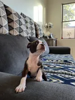 processed/d23c0998-38b7-4771-9cd4-990834a4cd09/listing/87cacf34-9906-4c2e-b5b6-bc59d9bc8321/745615e5-ff9c-4c6a-8561-426a0cb6e25b