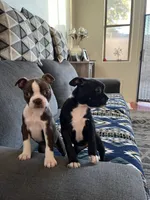 processed/d23c0998-38b7-4771-9cd4-990834a4cd09/listing/87cacf34-9906-4c2e-b5b6-bc59d9bc8321/76b7e692-a1fb-45e1-b0f3-d66ad66458da