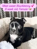 processed/d23c0998-38b7-4771-9cd4-990834a4cd09/listing/ab856d6b-afb5-4ef4-9077-defbb5059a42/9073ae44-7aed-4c41-a5c0-0e843c4fb7e3