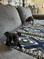 processed/d23c0998-38b7-4771-9cd4-990834a4cd09/listing/ab856d6b-afb5-4ef4-9077-defbb5059a42/f39532b6-8e3f-4fec-a81f-2b3bb0570378