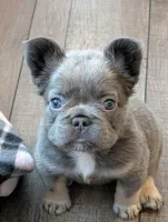 processed/d23ffc03-973f-4b1c-814f-db7d09490b89/listing/313f4446-9c8e-42a8-8f74-bc69666a3eac/ea8532c9-2225-43bc-8f35-e97b31692df8