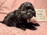 processed/d245c37c-5836-4d66-b2b0-48413b070040/listing/02d3d305-0f3f-4ed8-959f-243500d91b7f/1c7f4cf8-55d4-46c7-92cb-34d9efbdc04e