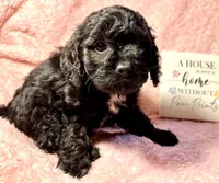 processed/d245c37c-5836-4d66-b2b0-48413b070040/listing/02d3d305-0f3f-4ed8-959f-243500d91b7f/907a7b8a-7eb3-447c-bfc6-225bad9bb633