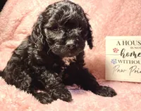 processed/d245c37c-5836-4d66-b2b0-48413b070040/listing/02d3d305-0f3f-4ed8-959f-243500d91b7f/b100a703-614b-4e24-9032-50017ffbd734