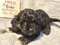 processed/d245c37c-5836-4d66-b2b0-48413b070040/listing/44ef4733-ff33-4a6a-b146-67bfa406e5d8/23010da7-6be3-4a01-83ea-54e4f2baf312