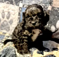 processed/d245c37c-5836-4d66-b2b0-48413b070040/listing/44ef4733-ff33-4a6a-b146-67bfa406e5d8/6885d5b4-b9a7-46a6-8cfa-f91bcb70ee69