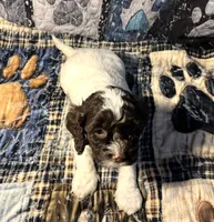 processed/d245c37c-5836-4d66-b2b0-48413b070040/listing/52c6f560-9d9f-4b02-bcdd-ee7d0d256575/597cc9a4-42f1-409a-affb-c291520dde44