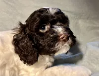 processed/d245c37c-5836-4d66-b2b0-48413b070040/listing/52c6f560-9d9f-4b02-bcdd-ee7d0d256575/773b498b-f991-4985-81a1-012466a0bd34