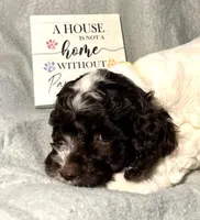 processed/d245c37c-5836-4d66-b2b0-48413b070040/listing/52c6f560-9d9f-4b02-bcdd-ee7d0d256575/774ab2dd-ce14-4bc7-a0fb-4990614699ec