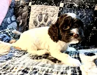 processed/d245c37c-5836-4d66-b2b0-48413b070040/listing/52c6f560-9d9f-4b02-bcdd-ee7d0d256575/a8c63a74-ad7a-4189-aa0a-36b1a3565577