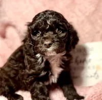 processed/d245c37c-5836-4d66-b2b0-48413b070040/listing/e941063f-411f-4fa5-a08b-f5a5ba73ae76/6a42db2d-4832-44d5-a869-f2657d6f12b9