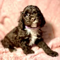 processed/d245c37c-5836-4d66-b2b0-48413b070040/listing/e941063f-411f-4fa5-a08b-f5a5ba73ae76/f93d5994-f810-4a42-acd0-928ff10fc6f9