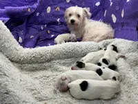 processed/d24fcac9-7691-4375-a7bd-51df9a9f78d1/listing/0df63a16-0ad0-40fe-977c-386d1329a45d/00bdff48-4a5a-41ac-b674-9d71edd16f9c