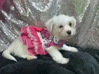 processed/d24fcac9-7691-4375-a7bd-51df9a9f78d1/listing/0df63a16-0ad0-40fe-977c-386d1329a45d/1d60fb97-f9a1-47eb-8c58-8935d2c3fde0