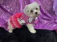 processed/d24fcac9-7691-4375-a7bd-51df9a9f78d1/listing/0df63a16-0ad0-40fe-977c-386d1329a45d/313e33b2-6043-4a10-a436-3939a5801edb