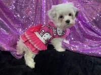 processed/d24fcac9-7691-4375-a7bd-51df9a9f78d1/listing/0df63a16-0ad0-40fe-977c-386d1329a45d/5bd4605f-52c0-4739-bdb8-53c0780eab57