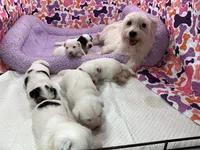 processed/d24fcac9-7691-4375-a7bd-51df9a9f78d1/listing/0df63a16-0ad0-40fe-977c-386d1329a45d/f0d7bde0-0dc6-49c1-89b8-ae32eced66e7