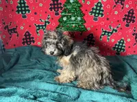 processed/d24fcac9-7691-4375-a7bd-51df9a9f78d1/listing/ccab217e-0f34-4d4b-b46a-fdade61233f4/109060ad-e4f1-4680-9390-d0d47167f0e1