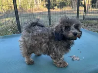 processed/d24fcac9-7691-4375-a7bd-51df9a9f78d1/listing/ccab217e-0f34-4d4b-b46a-fdade61233f4/15143301-8e74-4b6f-ba97-e4720557340a