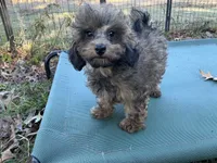 processed/d24fcac9-7691-4375-a7bd-51df9a9f78d1/listing/ccab217e-0f34-4d4b-b46a-fdade61233f4/78df0c88-03b3-44a1-8274-fa2797b33704