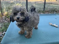 processed/d24fcac9-7691-4375-a7bd-51df9a9f78d1/listing/ccab217e-0f34-4d4b-b46a-fdade61233f4/ba4037bd-76ea-4f0a-85d4-369896cfe922