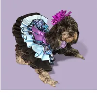 processed/d24fcac9-7691-4375-a7bd-51df9a9f78d1/listing/ccab217e-0f34-4d4b-b46a-fdade61233f4/c272beec-e25a-45eb-a1b4-10f239fbc9ce