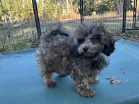 processed/d24fcac9-7691-4375-a7bd-51df9a9f78d1/listing/ccab217e-0f34-4d4b-b46a-fdade61233f4/ed336060-c820-4fdc-9100-65f77780a743