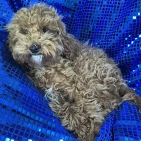 processed/d24fcac9-7691-4375-a7bd-51df9a9f78d1/listing/dcdc0d33-66f5-48a5-9347-c3af3312f713/a51e0050-57ec-4a1f-a5d3-149e605e0b2d