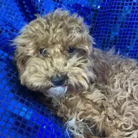 processed/d24fcac9-7691-4375-a7bd-51df9a9f78d1/listing/dcdc0d33-66f5-48a5-9347-c3af3312f713/dde3c18c-8c60-4ec1-9455-bfff37bef8e9