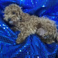 processed/d24fcac9-7691-4375-a7bd-51df9a9f78d1/listing/dcdc0d33-66f5-48a5-9347-c3af3312f713/e213f3d4-3726-4fb7-92ec-ea0b177a8bcb