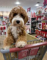 processed/d2538828-2dd6-4307-ac37-356e7d1bba14/facility/531309e6-4b1a-45c2-994b-db20d9904da3