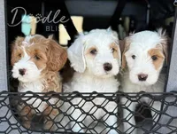 processed/d2538828-2dd6-4307-ac37-356e7d1bba14/facility/56681829-9076-4a69-b287-cd094507d35f