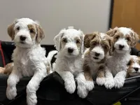 processed/d2538828-2dd6-4307-ac37-356e7d1bba14/facility/9c07ca98-c707-4555-aac2-d4d2b03e2704