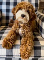 processed/d2538828-2dd6-4307-ac37-356e7d1bba14/facility/e02f3a83-85d7-405c-89f7-1f5742158bed