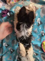 processed/d254dcf6-a7d4-4f6d-aaab-bf7cec4ccb15/listing/7abab113-b03b-4bd1-828d-1997ccd858dd/3ef9b46d-dcea-4cde-abc7-3d41b9af92cd