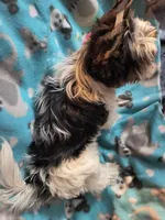 processed/d254dcf6-a7d4-4f6d-aaab-bf7cec4ccb15/listing/7abab113-b03b-4bd1-828d-1997ccd858dd/d48b3d05-f883-4b33-ad45-616aa254343c