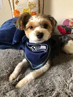 processed/d254dcf6-a7d4-4f6d-aaab-bf7cec4ccb15/listing/fe94faad-bfd3-455f-909c-9eea5d4df204/7e99bf3b-1e00-4709-8edf-546ec94af478