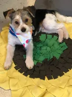 processed/d254dcf6-a7d4-4f6d-aaab-bf7cec4ccb15/listing/fe94faad-bfd3-455f-909c-9eea5d4df204/fce899e8-5b35-4f2c-acfc-a5c79de49926