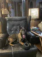 processed/d25a3fcb-885c-4f50-97f2-2991a5c79e6f/listing/a30461e4-f964-4a2f-a152-89b6259e4575/410a3e25-c693-4119-8d8a-2925989fd738