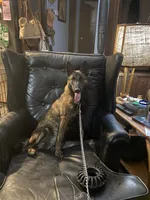 processed/d25a3fcb-885c-4f50-97f2-2991a5c79e6f/listing/a30461e4-f964-4a2f-a152-89b6259e4575/74af4cbe-a84c-413a-b139-012534f9cdc7