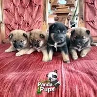 processed/d25c2fbd-ca2c-48d7-b370-e96bac60a3c2/facility/50a4138d-8d35-4d3f-a0bc-38250cc6f633