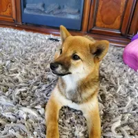 processed/d25c2fbd-ca2c-48d7-b370-e96bac60a3c2/facility/536f8861-d109-4d43-8337-b16d1df026eb