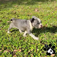 processed/d25c2fbd-ca2c-48d7-b370-e96bac60a3c2/facility/7b540e42-2820-4f0e-9419-002ed3b72811