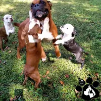 processed/d25c2fbd-ca2c-48d7-b370-e96bac60a3c2/facility/8ec8f1da-5d32-45fd-a2bd-179eb58c6c06