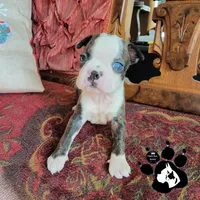 processed/d25c2fbd-ca2c-48d7-b370-e96bac60a3c2/facility/9416c461-d011-4aca-aa94-d18e8b81c44f