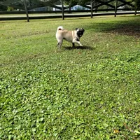 processed/d25c2fbd-ca2c-48d7-b370-e96bac60a3c2/facility/9691cd1d-a372-40e3-83c1-f3547339ee87